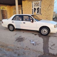 راس اثور يسرا رقم صلاح دين بسمي   مكفوله من ضربه القويه مصبوغه حزام مك...