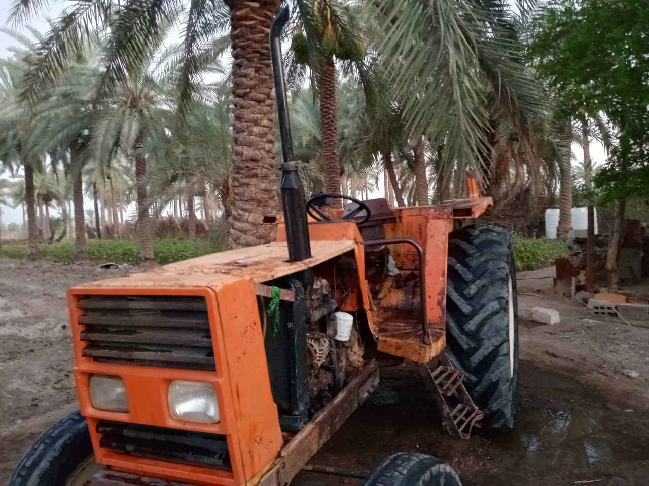 سلام عليكم
فيات للبيع ٧٨٠ موديل ٨٠ 

محرك مجفت جديد كير اكسل هيدروليك كهربائيات مكفوله السعر ٧وربع وبيه مجال 

***********
المكان بابل-حله  ورديه
