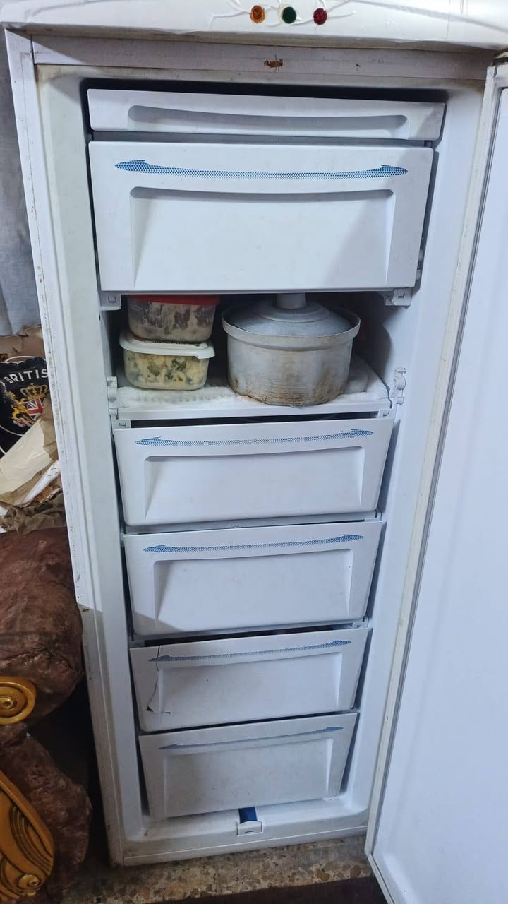 مجمده عاموديه للبيع نوع فستل السعر 100 وبي مجال ***********
