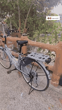 سلام عليكم بايسكل للبيع حجم 26جديد قبل 3ايام من اخذته لون رصاصي مديل 19السعر 145وبي مجال للطيبن مكان كوفه علوه الفحل الاستفسار على هاذا الرقم‏‪0789 352 2014‬‏
