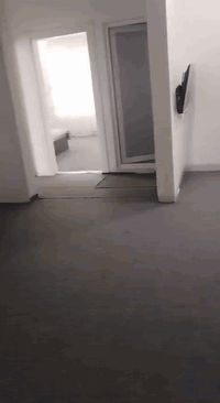 من رخصه صاحب بيج او الادمن
يوجد لدنيا شقق فندقيه في السليمانيه مع فطور صباحي بسعار مناسبه مع كامل خدمات ونضافه اختار راحتك انت وعائلتك اواحجز عله الرقم مذكور ***********
