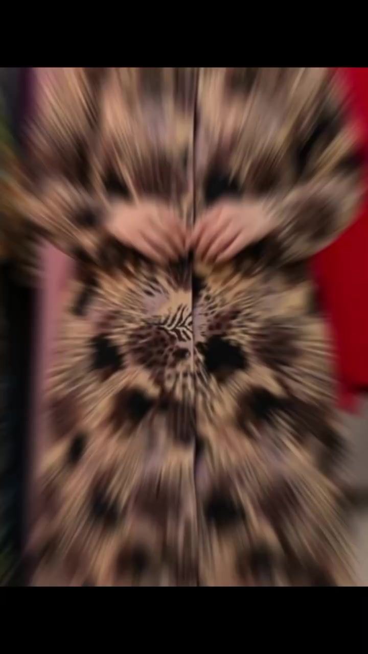 #المشاهير #المشاهدات #اكسبلور #لايكات


**إذا كنت صاحب هذا الإعلان وتريد حذفه لأي سبب، رجاءا أرسل رسالة إلى الدعم الفني**