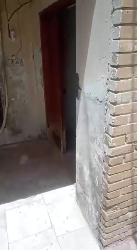 بيت بل حيدرية الايجار المساحة ٣٥٠م طابقين ثلاث غرف وصالة وصحيات وبراني على السادين  التجاري للستفسار الاتصال على الرقم *********** أو مراجعة مكتب عقارات الثابت عنوان المكتب السماوة حي الحكم مجاور مجمع الالماني توتل مقابل متنزه النورين اكتب كلمة تم سيصلك الرد
