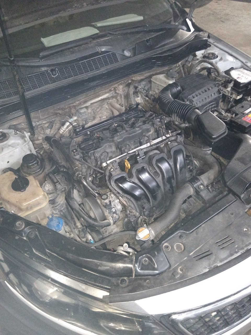 السلام عليكم زبائننا الكرام 🌹

اوبتيمه13
اوبتيمه14
اوبترا 11
افيو10
النترا13
تم صيانه الجميع

م. علي جلال
هاتف :***********
السكك مقابل محطة الماء
