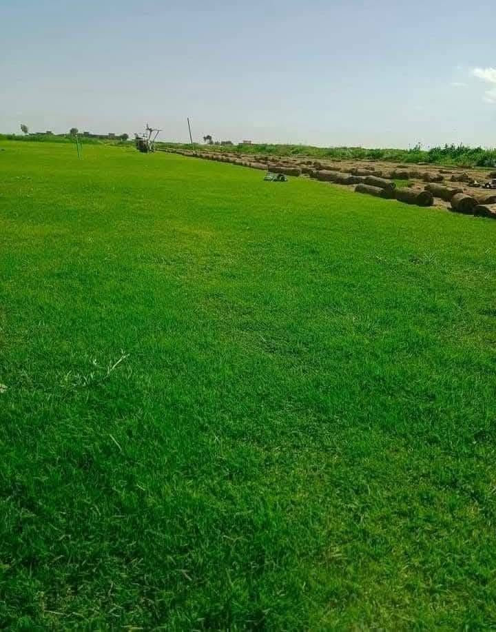 انتاج خاص بمزارعنا
حيث الجودة والسعر المناسب 

☘ثيل هندي طبيعي نوعية ممتازة🍀 مناسب للاستخدام في ( المنازل🌳_ الحدائق🌳_ الملاعب🌳_ الدوائر🌿) 

#انتاج_خاص #شكل_مثالي  #سعر_تنافسي

✨ سعر المتر يختلف للكميات الكبيرة ✨

يوجد خدمة توصيل لجميع محافظات العراق 

#ملاحظة : التوصيل مجاني ❤️

(مستعدون لتجهيز الحدائق المنزليه و الملاعب الرياضيه و المنتزهات و الدوائر الحكومية بكادر مختص مميز يجيك لباب بيتك #بأسعار #تنافسيه )
🍁للاتصال او الاستفسار  متوفر مفتوح طوال اليوم
*********** اتصال أو واتساب
*********** اتصال او واتساب
