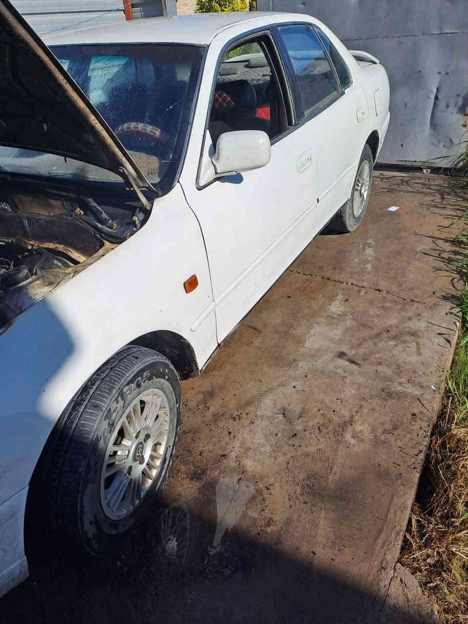 السلام عليكم ادمن الإخوة الاعضاء 
سيارة كامري موديل 1996 رقمهة بغداد يسرى بلادي وارد خليجي التبريد شغال الكشر مابي ضربه قوية لغود بلادية مضبوغة عام  بأسم جيراني تكعد ويا تسوي عقد مروري السيارة محتركه كهربائياتهة مثل ما موضحة بالصور والفيديو  مكاني الدورة وهاذا رقمي *********** ممتواجد عالفيس رايدهة ب36 ورقه
