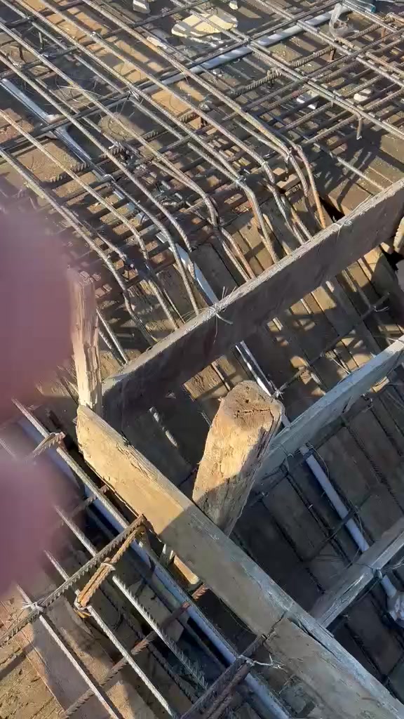 *********** الطوگي
