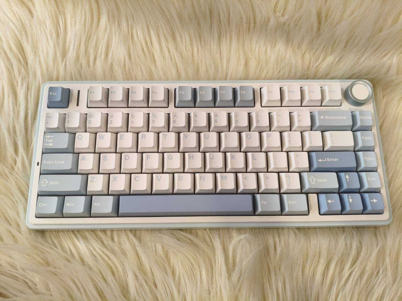 كيبورد F75 جديد و كامل
يشتغل واير وايرليس و بلوتوث 
يشغل RGB متعدد الالوان 
السعر 50 الف


**إذا كنت صاحب هذا الإعلان وتريد حذفه لأي سبب، رجاءا أرسل رسالة إلى الدعم الفني**