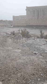 سلام عليكم قطعة ارض زراعي سند 25  طابو المحموديه. خلف معمل الببسي قرب بيت ابودله منطقه احليجه المساحه 200 متر. الواجهه 10.  والنزال 20.   لبييييييييييع      رقم  ***********   السعر خاص
