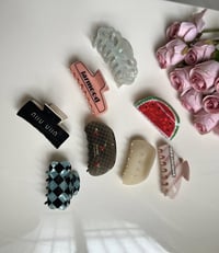 قراصة شعر • اكسسوار شعر