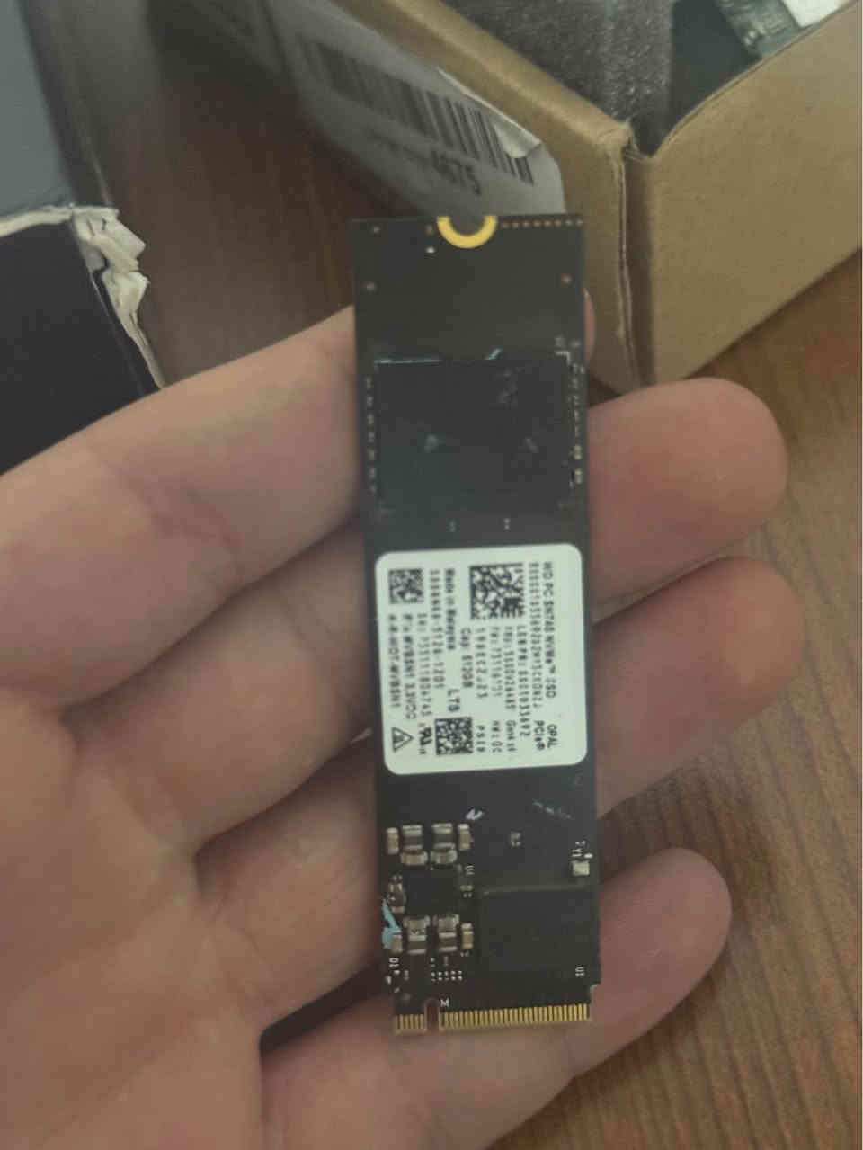 512 ssd nvm gen 4 65$
*********** أربيل, العراق
