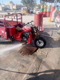 ستوتة دايوان • موديل 18 • أوراق أصلية