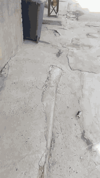 دار للايجار حي اسيا استقبال وغرفه نوم  ومطبخ وصحيات طابق واحد . للاستف...