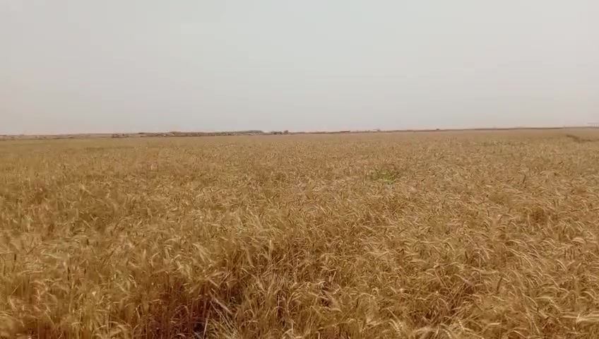 سلام عليكم ورحمة الله  كاع لبيع  بل الكحلاء  قرب شركة 
بترو جاينا  لا مو شراي لا يتصل عل رقم  ***********
