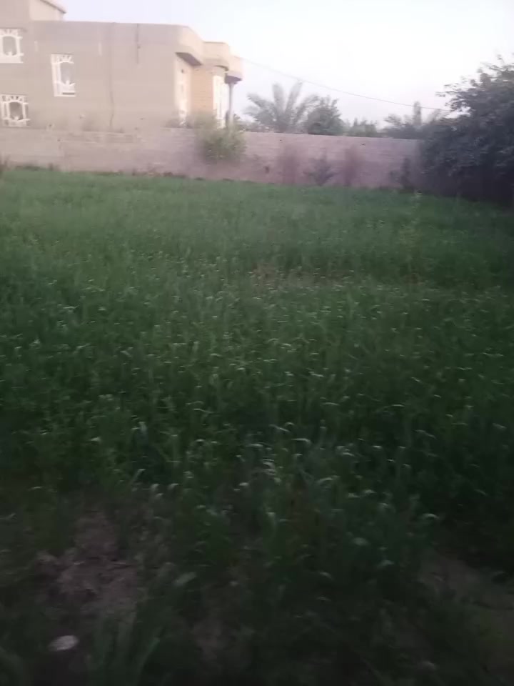 السلام عليكم يوجد ضمانت شعير وبرسيم  ويوجد هم ضمانت جت  هذا رقمي اليريدهم ***********
