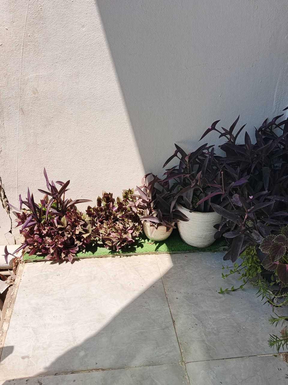 للبيع مع ٤ سنادبن كبيره ب٥٠


**إذا كنت صاحب هذا الإعلان وتريد حذفه لأي سبب، رجاءا أرسل رسالة إلى الدعم الفني**
