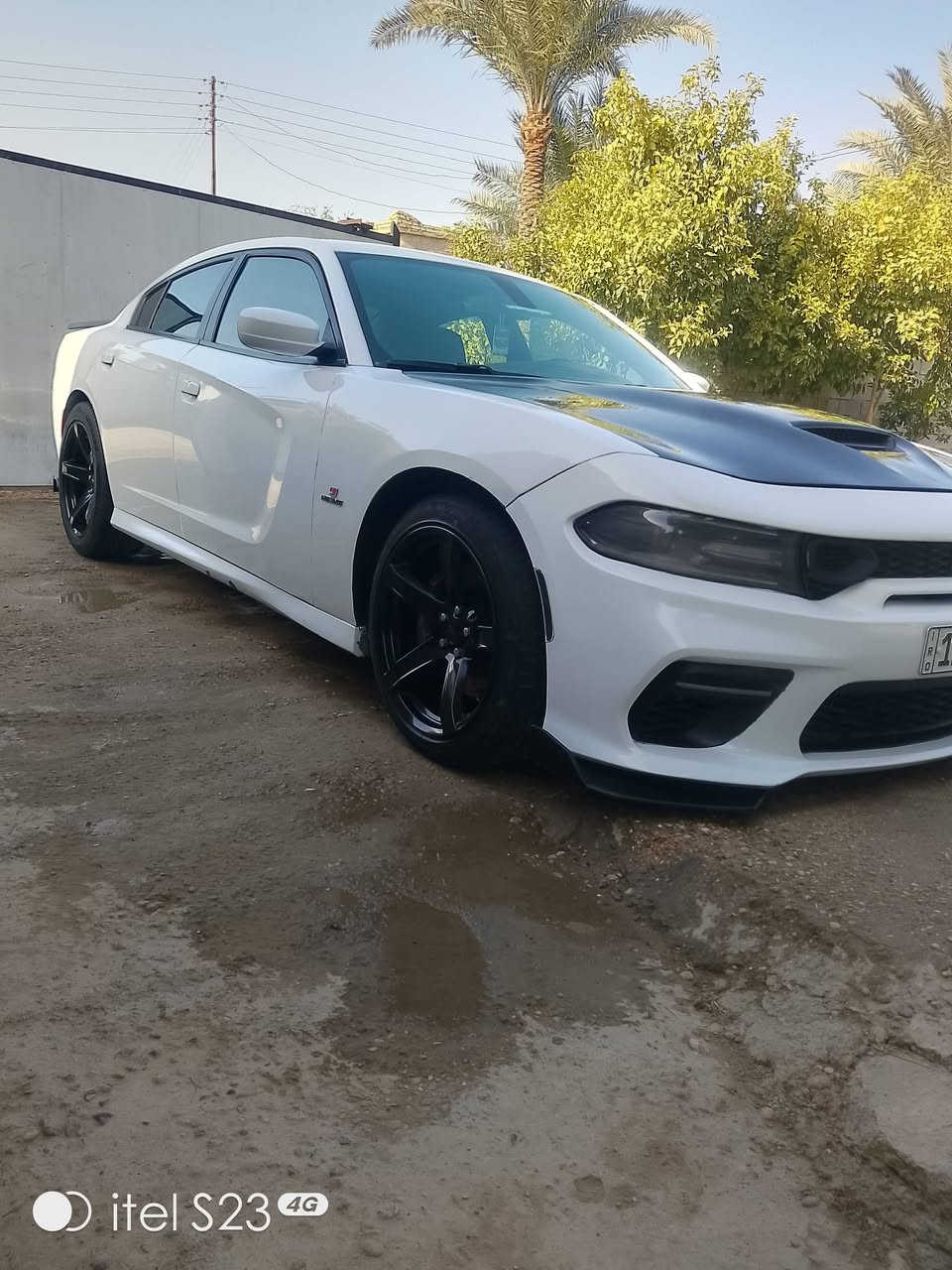 اسكات باك موديل 21 ماشية 35ميل 6400اصل جاهزة بيع مستعجل باقي  التفاصيل خاص


**إذا كنت صاحب هذا الإعلان وتريد حذفه لأي سبب، رجاءا أرسل رسالة إلى الدعم الفني**