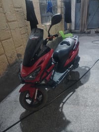 ماروني • ٩٠ • طوريج