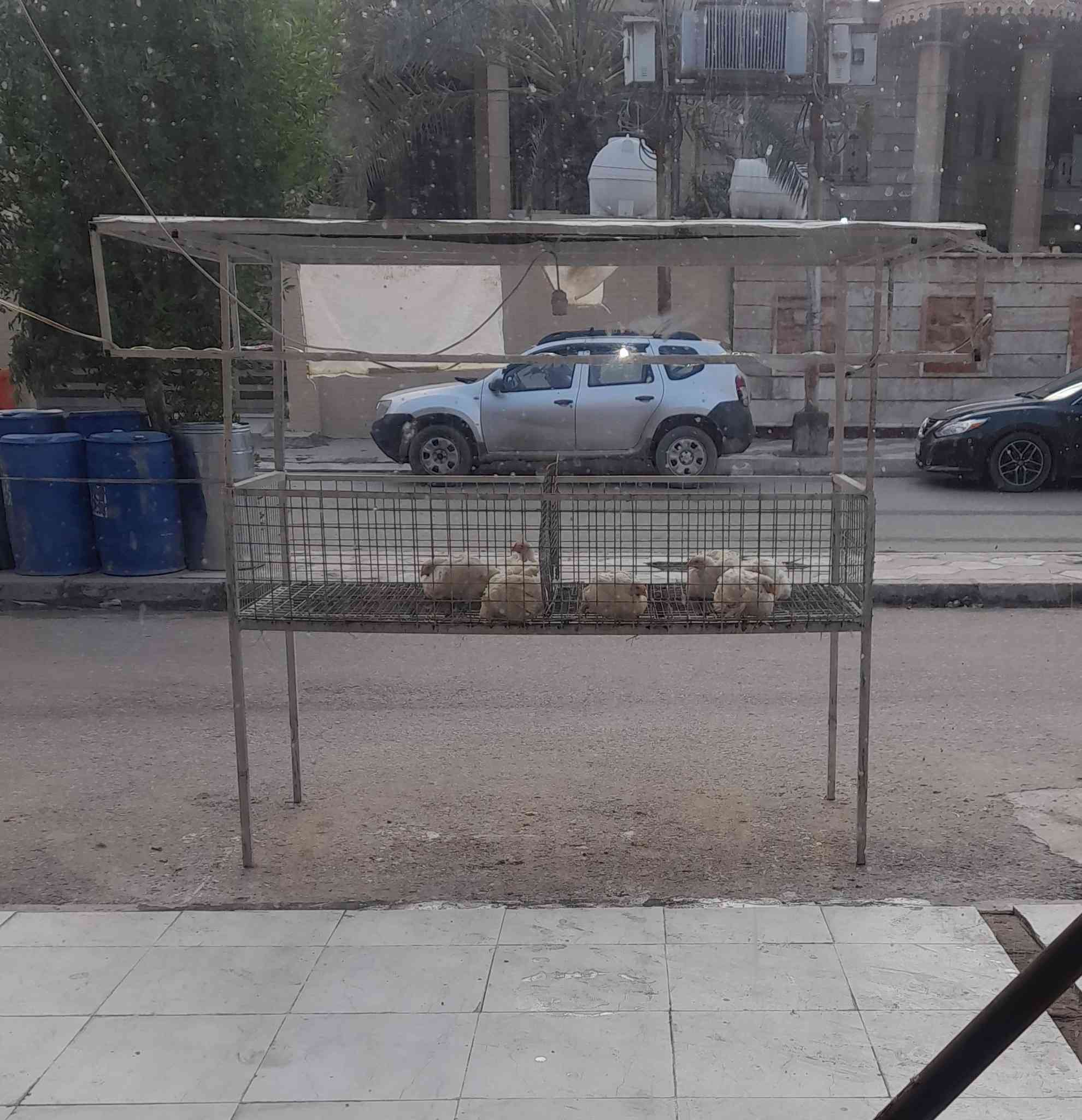 للبيع كل حاجة وسعره ما جاوب على التعليقات *********** واتس
