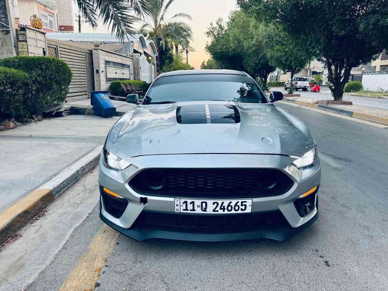 سلام عليكم

بيع او مراوس 

مكلف بالنشر 

فورد موستنك  بريميوم 

للبيع 2021 ايكو بوست 

اللون سلفر 

الفئة بريميوم

رقم بغداد الدولي بااسمي (رقم و سنوية جديدة)

✅ماشية 20 الف ميل 

✅ السيارة جديدة كاملة وبدون نقص

✅ شاشة 

✅ سبايدر +لحيه+دفيوزر سرفيني

✅ محرك وكير وأكسل بشرط 

✅فول تحكمات ستيرن

✅كامره دوارة

✅تشغيل عن بعد

✅منظومه زنون عدسات  

✅تحكم كرسي كهرباء

تبريد مقاعد 

✅✅ السيارة حادثها حرق الجاملغات الامامية والبنيد باامريكا وتوحيد لون الابواب الامامية 5 قطع صبغ  

 ✅السيارة نظيفة حيل و متعوب عليها و مصروف عليها هواية ومكمله لاااخير حبايه، الدهن بس أصلي و البانزين بس محسن.

السيارة سنويه بأسمي ثاني التحويل

✅سعرها135 ورقه وبيها مجال للشراي 

للاستفسار أتصال أو واتساب

مكان السيارة بغداد حي العدل 

*********** بغداد, العراق

