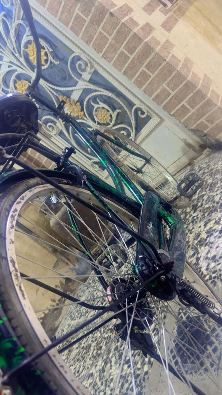 باسكل للبيع فقط❤️

مديل 24 🎖️

حجم 26🎖️ 

نظافة 90% فولل🥇

+ داخل النجف فقط❤️

الك بي ضمان يومين حك تجربة

للتواصل والاستفسار رقم واتساب: *********** 
او راسلني خاص💗🔥
