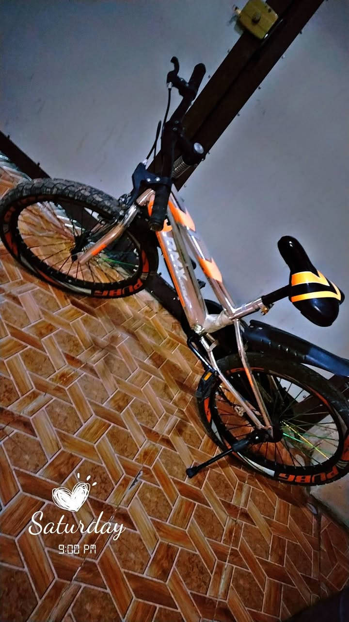 للبيع حجم 20
نوع BMX
سعر 55
***********
