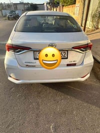 كورلا خليجي • ٢٠٢٣ • رقم اربيل