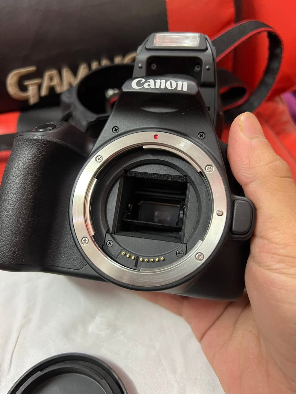 كاميرا كانون 250D + عدسة الكت و عدسة 1.8 50mm عدسة البورترية ❤️‍🩹

استخدام لصناعة المحتوى وتصوير الفيديو وتكدرون تشوفون تصوير ريلزاتي بيها 👍🏻

ملحقات مع الكاميرا

گفر حماية جيلاتين وحزام 

رام 64 غيغا ساندسك سرعة 200 ميغا

بطارية الكاميرا الاصلية و الشاحن

و العدسة ال١.٨ وحدها مشتريها ب١٦٠ مع الهود 🥲

السعر من الاخير مقفولة ٦٥٠ ربع ما ينزل 

و تفاصيل اكثر خاص اذا تحب

مكاني في النجف + ديوانية بغداد توصيل ماكو

وهذا الرقم للي حاب يتصل 

***********
