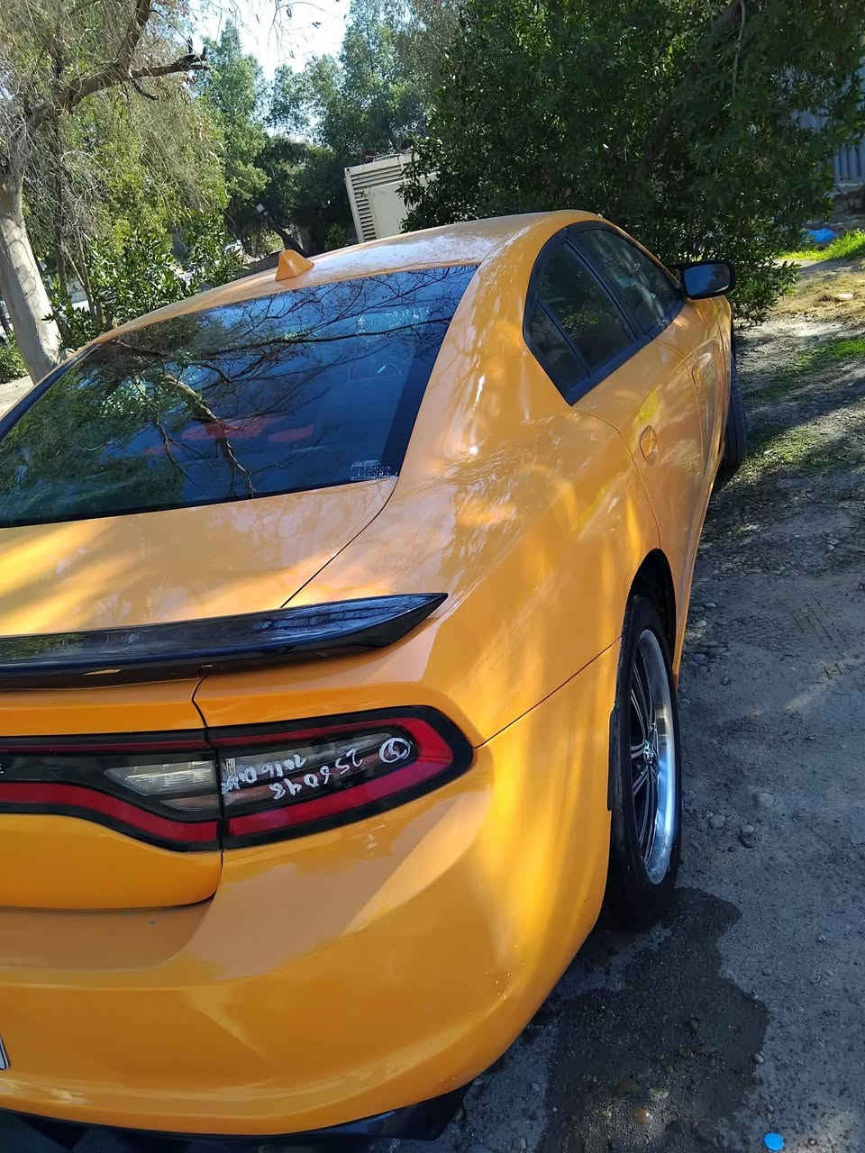 السلام عليكم 
جارجر اجرة مديل15/18 رقم بغداد سياره تخم تاير جديد

 محرك كير جديدتدفئ تبريد شاشه جبيره كشنات جلد  

sxtمعروفه مواصفاته البيع او المراوس

تفاصيل اكثر علق توصلك التفاصيل كامله


**إذا كنت صاحب هذا الإعلان وتريد حذفه لأي سبب، رجاءا أرسل رسالة إلى الدعم الفني**