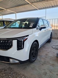 كرنفال ٢٠٢٥ • ٦ سلندر • وارد امريكي