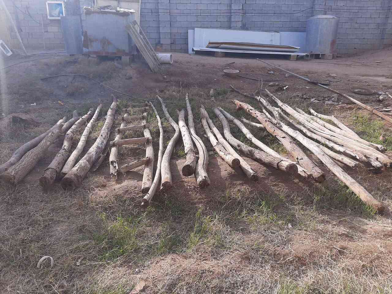 المكان ديالى بعقوبه بهرز / خشب العدد 23 وحده (( سعرهن 50 ألف))
🔷العنوان: بهرز، بداية الدواسر، قرب المختار نوري، للمعاملة والإستفسار راسلونا على هذي الصفحة على الخاص، أو الاتصال على هذا الرقم ***********
