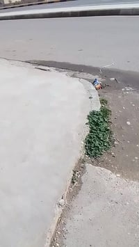 حي المعلمين • غرفتين • السعر خاص