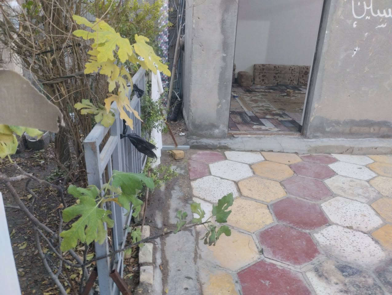 بسم الله الرحمن الرحيم 
بيت زراعي للبيع 
صوب بني ركاب 
بستان سيد كريم
4غرف وبنظام السويت 
وصاله ومطبخ وديوانيه 
 وصحيات داخليه وخارجيه 
بناء بلوك السكف عكاده
المساحة اكثر من 300متر
السعر 47وبيه مجال 
للتواصل الاتصال على الأرقام 
 الموجوده بالاعلان 
***********
***********
او مراسلة الصفحة 
#هادي_الحجيمي
