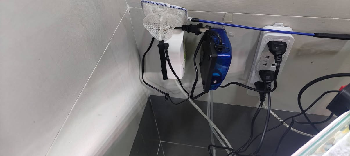 حوض للبيع مع ماطور فلتر+ فلتر +ماطورين  وهيتر   وسمكه  كما موضح بالصور للبيع قبل اسبوع اشتريتهم ادفع بمايرضي الله
الموصل الايمن
حوض للبيع مع ماطور فلتر+ فلتر +ماطورين  وهيتر   وسمكه  كما موضح بالصور للبيع قبل اسبوع اشتريتهم ادفع بمايرضي الله


**إذا كنت صاحب هذا الإعلان وتريد حذفه لأي سبب، رجاءا أرسل رسالة إلى الدعم الفني**