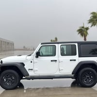 رينگلر • ٢٠٢٣ • بدون صبغ