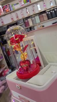 وردة مضيئة • قبة زجاجية • هدية رومانسية