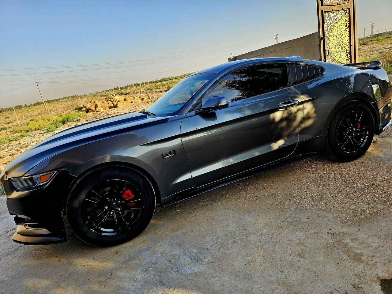 @الجميع
يا الله   السلام عليكم  
للبيع اؤ مراوس  موستنك 2016  GT 3700  ماشيه 140   اخوان ذاكر جميع التفاصيل اقرأ المنشور  السياره نضيفه %100 صدر امامي خلفي  تخم تاير كير مكينه شاصي كله شرط ترايك 500 كيلو متر ،، واحلا من الصور نصبتها    صبغ عام بدون دواخل اثر  جراد شماليه تحويل  وبسعر جدا مناسب  115$   مجالها تجي وتدلل 
***********   مكانها @واسط الصويره
