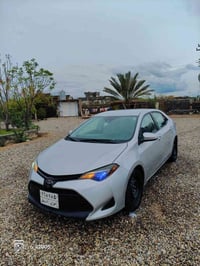 كورلا ٢٠١٩ • ضرر ٥ قطع • رقم اربيل