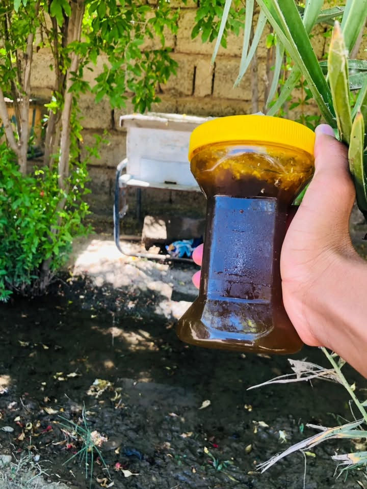 السلام عليكم يوجد عسل 🍯 طبيعي درجة اولة سعر الكيلو 35وموجود توصيل للباب البيت 🏠 رقم واتساب ***********
