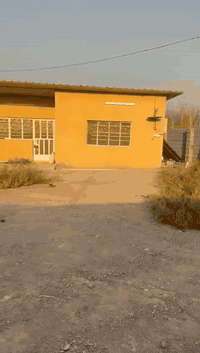 🔴 للبيع مزرعة مميزة – بيع مستعجل 🔴
السلام عليكم

إخوان، للبيع مزرعة موقعها ممتاز في

📍 سلمان باك – الباوي

📌 مقابل أسواق المهدي

📐 المساحة: دونم كامل

🧱 المزرعة مسيّجة بلوك بالكامل

🏠 بيها بيت مبني مساحة تقريباً 85 م

🛋️ البيت مؤثث وجاهز للسكن

🌴 المزرعة تحتوي على نخيل مثمر

📄 نوع الأرض: وقف شيعي

⚡ بيع مستعجل – السعر مناسب

📞 للاتصال:

***********
***********
❗ الرجاء الاتصال للجادين فقط

ℹ️ مميزات الأراضي الوقف الشيعي بالعراق:

حتى تكون الصورة واضحة للمشتري:

✅ سعرها أقل من الملك الصِرف

✅ عقود رسمية أصولية ومعترف بيها 

✅ تصلح للسكن والزراعة والاستثمار حسب نوع العقد

✅ ما بيها مشاكل تجاوز

✅ إقبال عالي لأنها فرصة استثمار بسعر مناسب

✅ آمنة قانونياً إذا العقد نظامي ومسجل
