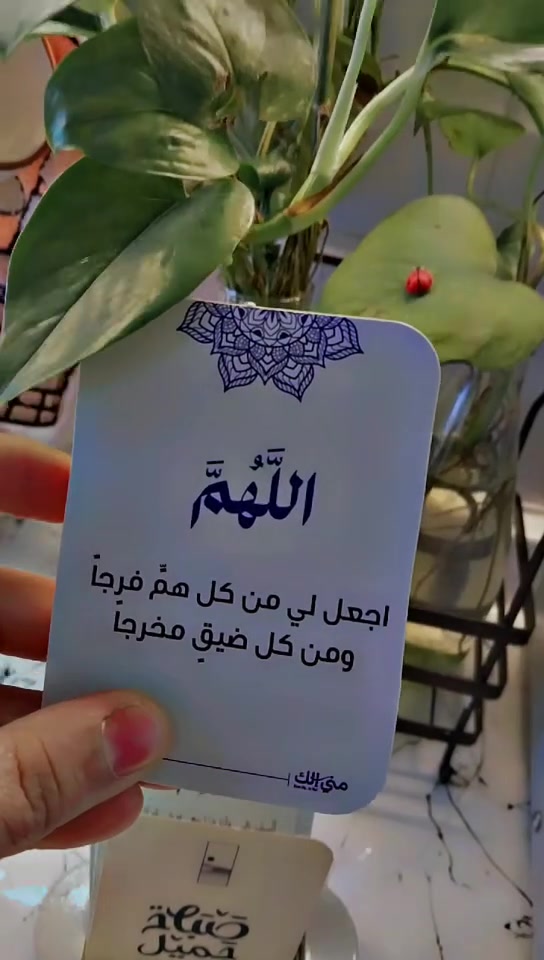 من القلب إلى القلب
دعاء . حب .أمل  .
جرعه يوميه تلامس الروح 
٥٠ بطاقه مع قاعده خشب  ب ١٥ الف فقط . ادعيه .
.وصباح جميل كل بكج  بيه ٥٠ بطاقه فقط ١٥ الف .


**إذا كنت صاحب هذا الإعلان وتريد حذفه لأي سبب، رجاءا أرسل رسالة إلى الدعم الفني**
