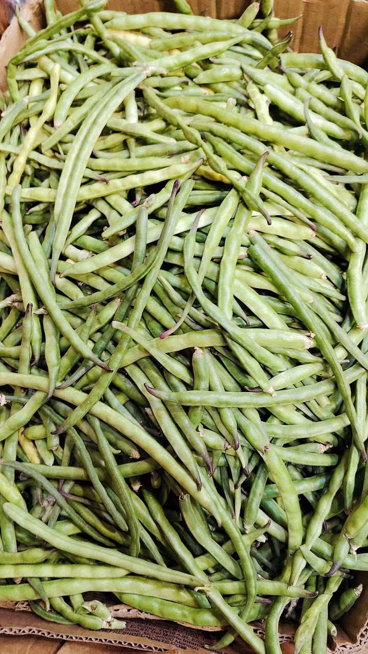 بسم اله وعلى بركه الله مسواك جديد
طماطه صغار هيتاويه ام الطعم
باذنجان مكدوس سوري
العنوان هيت حي جمعيه قرب محطة قلعة هيت المشيده


**إذا كنت صاحب هذا الإعلان وتريد حذفه لأي سبب، رجاءا أرسل رسالة إلى الدعم الفني**