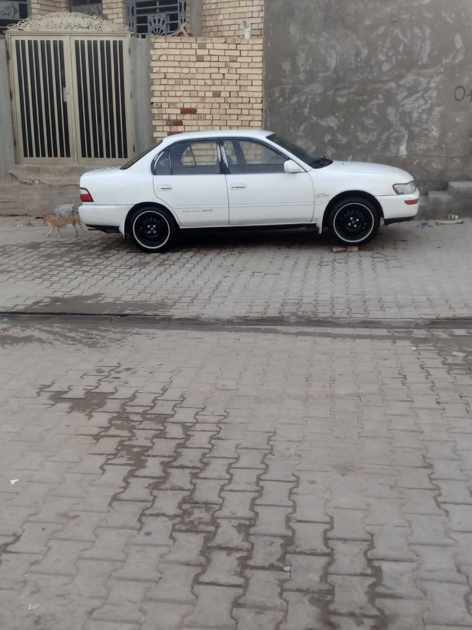 السلام عليكم كورله لبيع سياره مكفوله من لكص ونقل جثه ومكفوله حته ما لصبغ سياره بسمي رقم دولي سياره تخم تاير حداديه وره وكدام بلكارتون سياره دفع رباعي سياره جديده ما عايزه شي تبريد ثلج مديل 1994. مكينته بيه لاستيك ولف مكان سياره النجف الاشرف سعر 55وبيه مجال رقم الهاتف ***********
واتساب ***********
