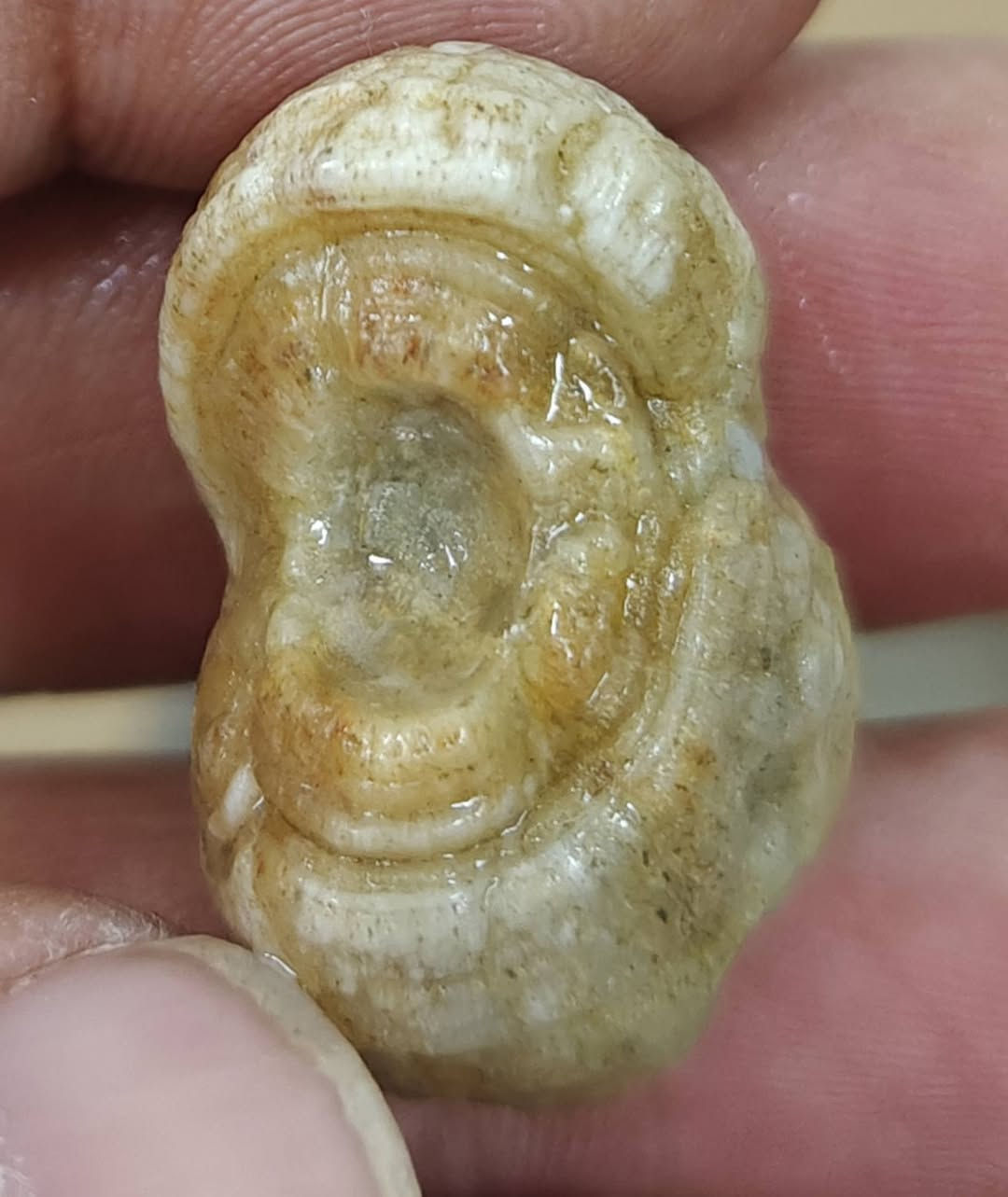 12 حجره سليماني و داودي خامات كلش حلوه جمله فقط سعرهن 60 الف واصل يمك يوجد توصيل  كافة المحافظات عنواني بغداد واي استفسار على الخاص


**إذا كنت صاحب هذا الإعلان وتريد حذفه لأي سبب، رجاءا أرسل رسالة إلى الدعم الفني**