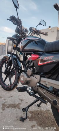 شاينك • قسط • النجف