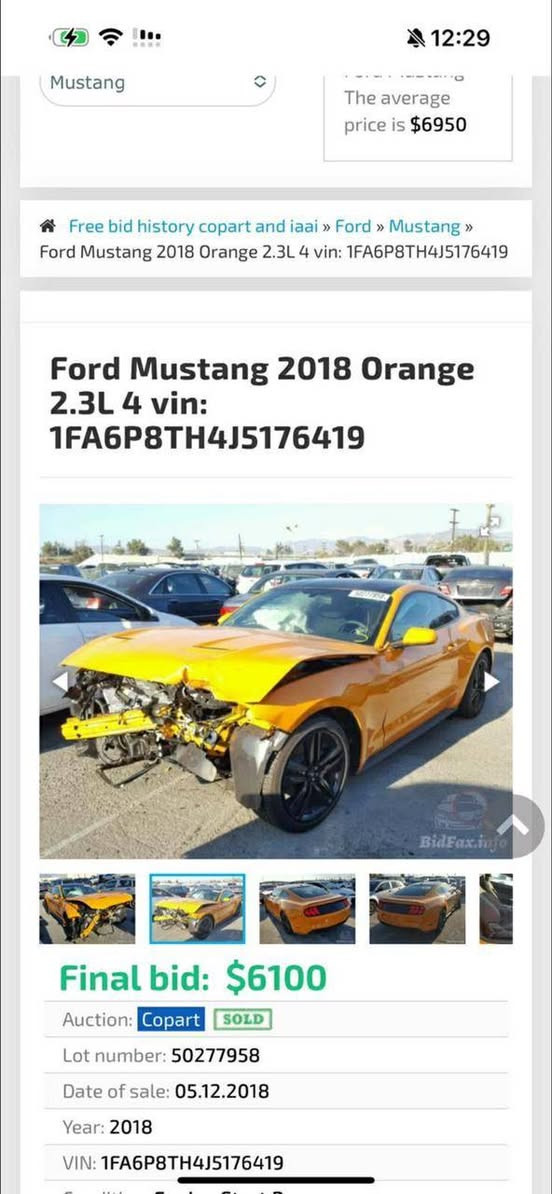 للبيع فورد موستنك موديل 18 ايكوبوست لون مميز برتقالي سقف اسود بلادي
رقم اربيل 
شرط التحويل سنويه وهزه جديده مكان السياره كركوك 
مثبت سرعه 
محدث شيلبي 
جناح خلفي  
شاشه كار بلاي
تدفئه وتبريد ثلج 
شوته 
تحكمات ستيرن
قياده ذاتيه 
دخول ذكي
تشغيل عن بعد 
السياره مابيها مصرف الف دينار فول  شرط الكير والمحرك 
بيها ثلاث قطع ابيع حزام رصعه بسيطه بسقف بيها سحب شاصي فقط سحب 
محرك مفتوح 
السعر108 فقط شراي يتصل تفاصيل كامله كاتب فقط بيع بدون مراوس
للتواصل
*********** كركوك, العراق
