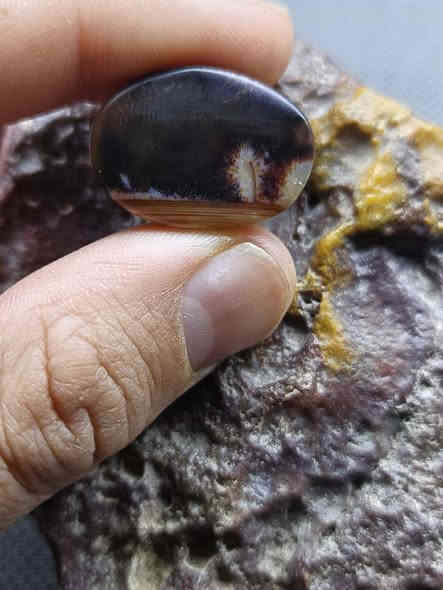 حجر سليماني مصور شجرة و لون مميز
للتواصل على الخاص
او على الرقم
***********
