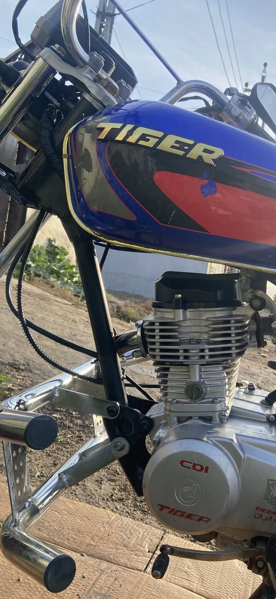 بسم الله ماشاء الله تايكر ٢١ فول الفول نضافة كدامك ١٠٠٪؜  دراجه جديدة وتخبل وصلنصة كاتم ماتسمع الها حس. محركها مامتعوب وناعم وتخبل للشراي فقط الي مايشتري لايدخل خاص ويكولي غالي وهلسوالف كلشي بسعره 
سعر 475 بيه مجال كلش بسيط للشراي اتفضل اتصل على الرقم ***********او انستا موجود ooo2ir
