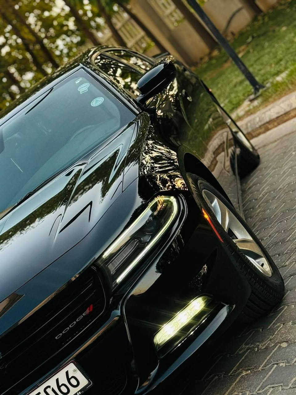 دۆج مۆدێل 2016 sxt کلین  بێ بۆیاغ شەریکە هارلم 
نمونە لە جوانی  گێڕ مەکینە بە شەرت 
95 مایل ڕۆشتووە 
بە ناوی خۆمە 
تحویل غرامە بە شەرت
نرخی198 گەڵاو مامەڵە 
واتس ئەپ  ڤایبەر ژ.م *********** كويسينجاك, أربيل
