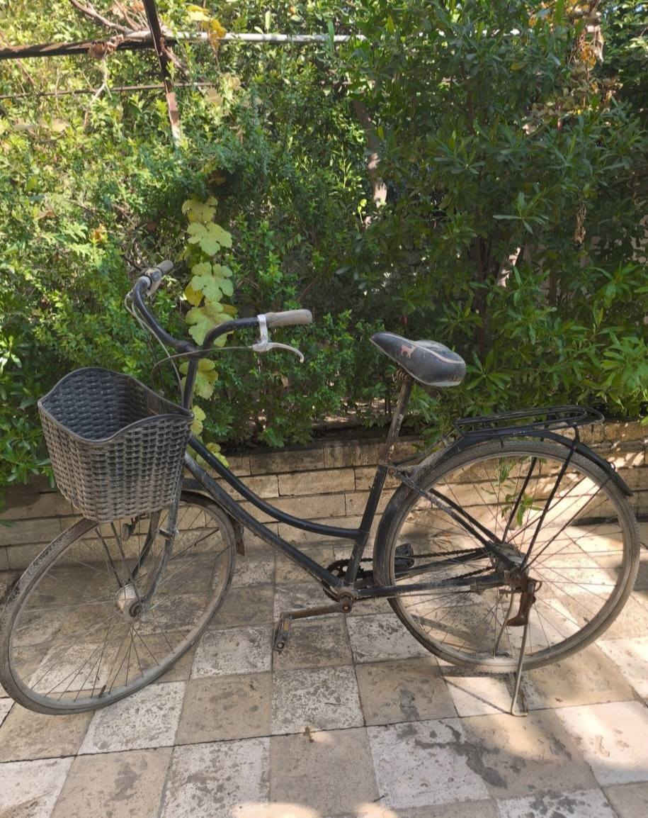 1_ بايسكل شغال كامل ونظيف السعر 55
2  _ بايسكل عبد الحليم  متروك صارله فترة ينرادله تايرات اعتقد سعره 30


**إذا كنت صاحب هذا الإعلان وتريد حذفه لأي سبب، رجاءا أرسل رسالة إلى الدعم الفني**